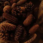 Splendide Style Classe 4 Etoiles, Terrasse Face A La Montagne شقة *