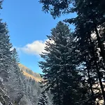 Splendide Style Classe 4 Etoiles, Terrasse Face A La Montagne *