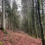 شقة Splendide Style Classe 4 Etoiles, Terrasse Face A La Montagne