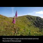 Splendide Style Classe 4 Etoiles, Terrasse Face A La Montagne شقة *