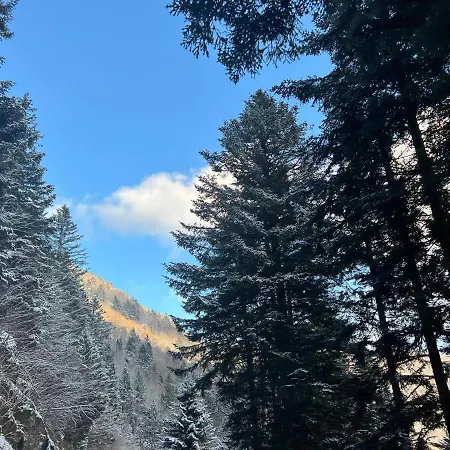 Splendide Style Classé 4 étoiles, Terrasse Face à La Montagne *