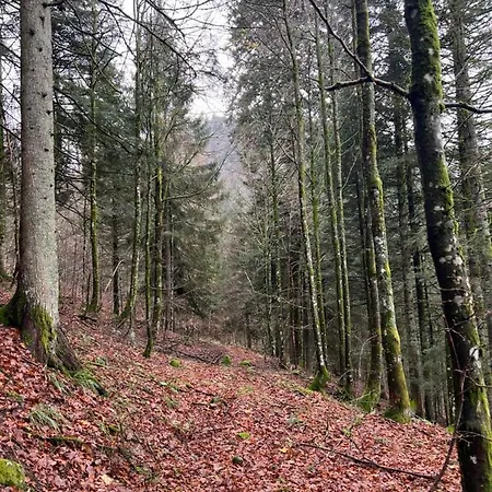 Apartment Splendide Style Classe 4 Etoiles, Terrasse Face A La Montagne