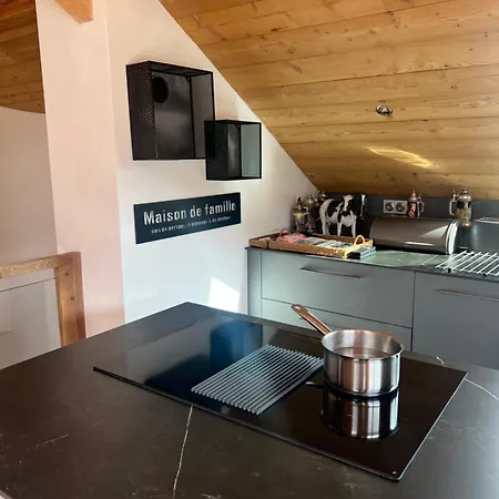 Splendide Style Classe 4 Etoiles, Terrasse Face A La Montagne La Bresse