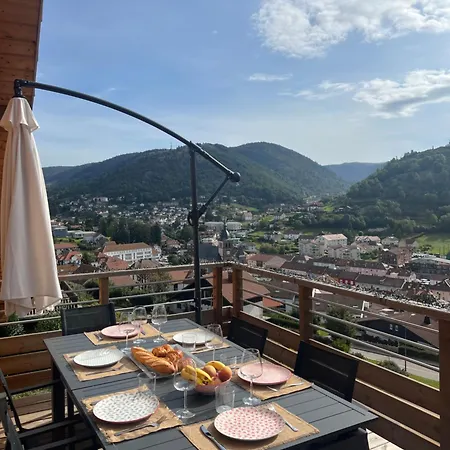 Appartement Splendide Style Classé 4 étoiles, Terrasse Face à La Montagne La Bresse