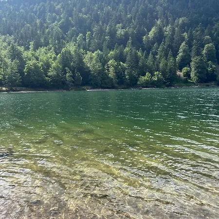 Splendide Style Classe 4 Etoiles, Terrasse Face A La Montagne * La Bresse