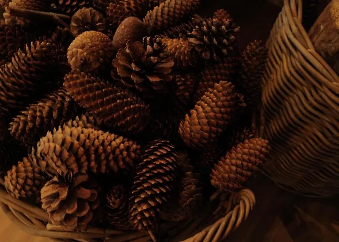 Splendide Style Classe 4 Etoiles, Terrasse Face A La Montagne Apartmán *