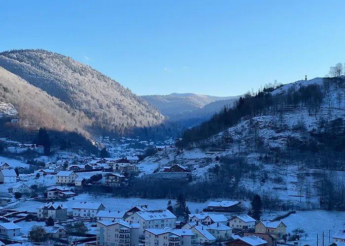 Apartment Splendide Style Classe 4 Etoiles, Terrasse Face A La Montagne La Bresse