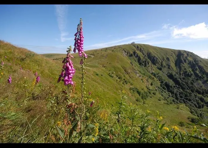 Splendide Style Classe 4 Etoiles, Terrasse Face A La Montagne Apartment *
